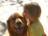 Brody and Ella nov 2009.jpg (33154 bytes)