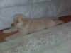 Drake first day home.jpg (500739 bytes)