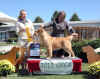 Merci win 2011 resized.jpg (736464 bytes)